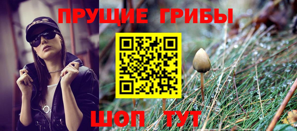 Псилоцибиновые грибы Magic Shrooms  Галлюциногенные грибы GOLDEN TEACHER  Жигулёвск  Вход с VPN 