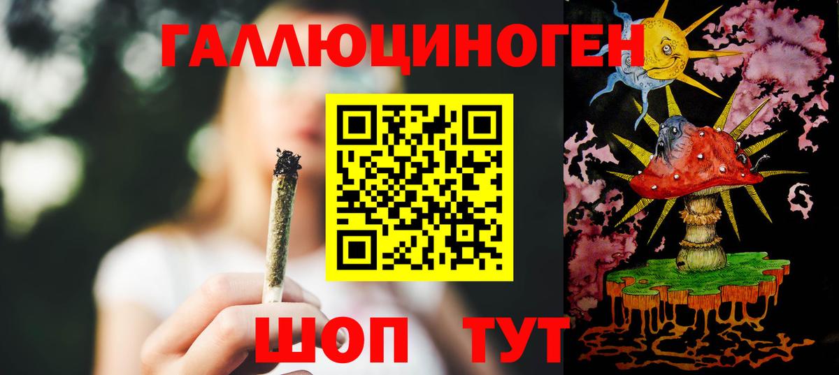 Галлюциногенные грибы Psilocybe Жигулёвск